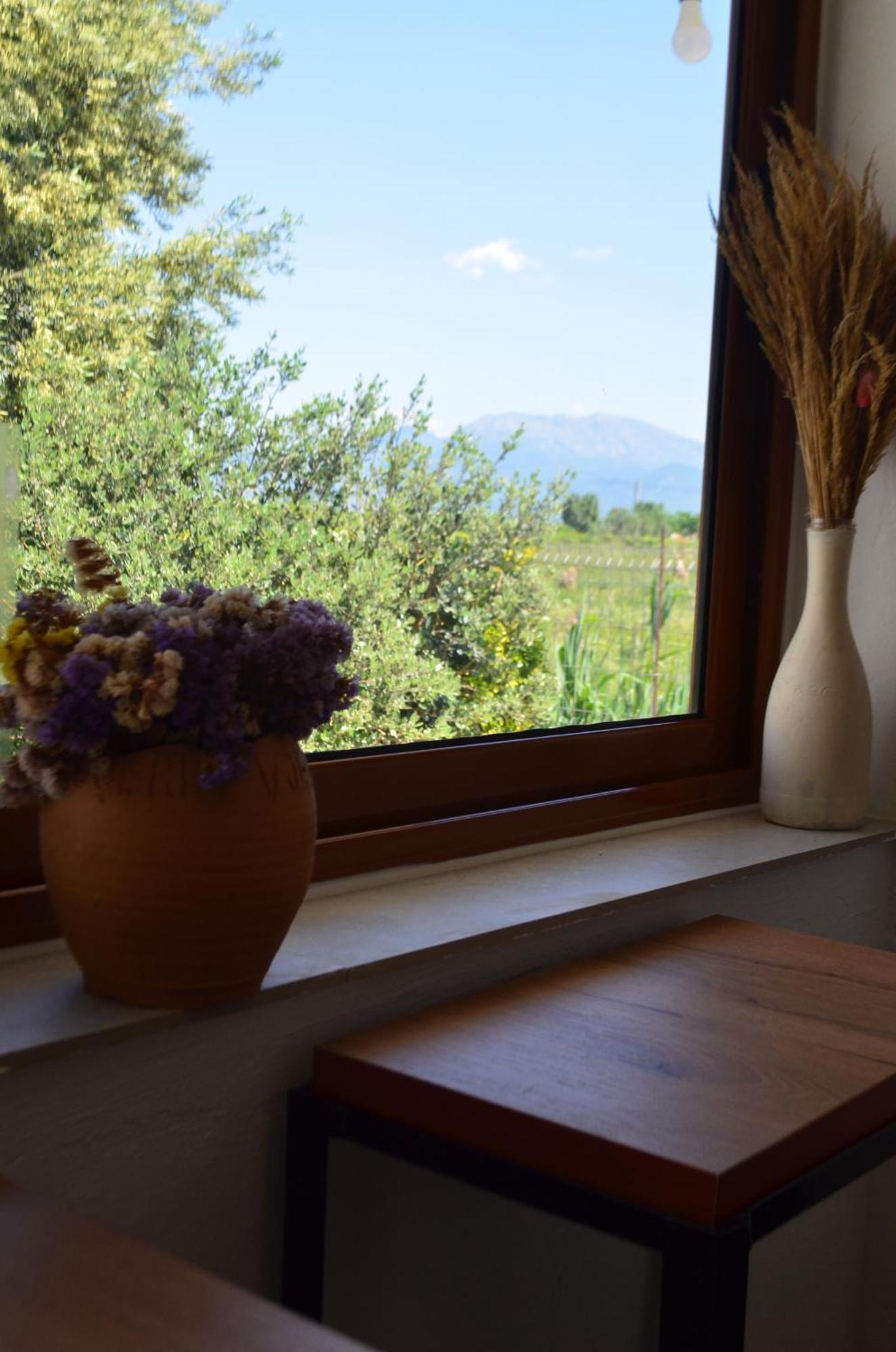 Rustic Tale Guesthouse Bagian luar foto