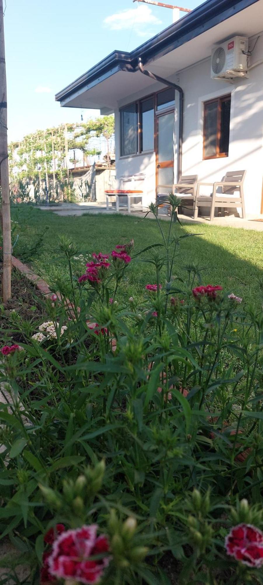 Rustic Tale Guesthouse Bagian luar foto